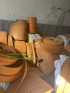 bang-tai-mac-gau-BTMG-2